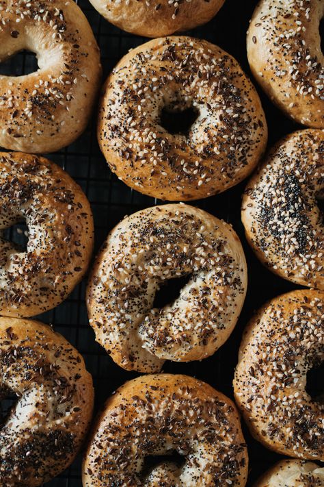 Everything Bagels with Parmesan + Fried Onions Everything Bagels, Homemade Bagels, Everything Bagel, Fried Onions, Breakfast Casserole, Bagels, Tortillas, Mouth Watering, Bread Recipes