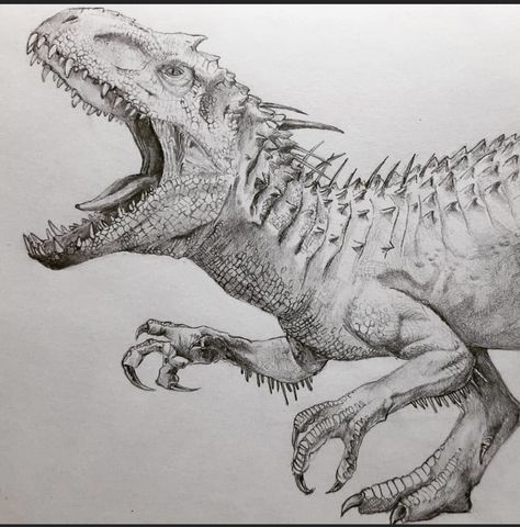 Cute Dino Sketch, Dinasour Sketches, Dinousar Drawing, Dinosaur Sketch Realistic, Indominus Rex Drawing, Dinosaurus Drawing, Jurassic Park Drawing, Carnotaurus Drawing, Dinosaur Drawing Sketch