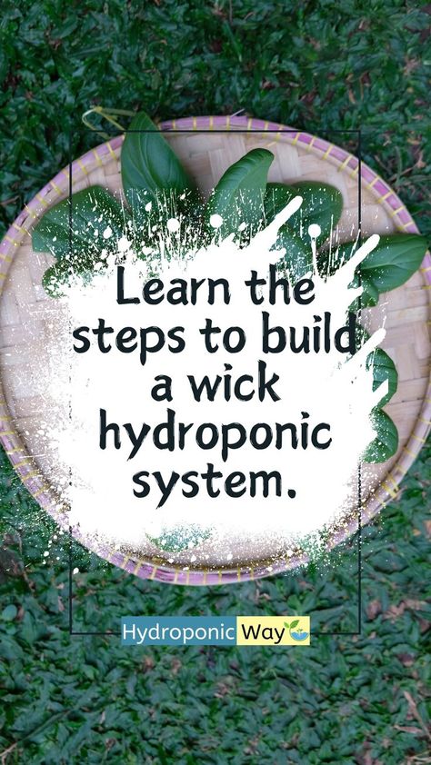 Dive into the world of hydroponics with a simple DIY wick system! Learn each step to set up this beginner-friendly system, from selecting containers to installing wicks and filling nutrient solutions. #sustainability #gardening #farming #hydroponicfarming #hydroponics #hydroponicsystem #gardeningtips #verticalfarming #aeroponics #aquaponics #agriculture #agriculturetechnology #agritechnology #garden #hydroponics #indoorfarming #sustainable #gardening101 #agritech #urbanfarming #verticalgarden Diy Wick, Indoor Farming, Hydroponic Farming, Hydroponic Systems, Vertical Farming, Gardening 101, Hydroponics System, Hydroponic Gardening, Hobby Farms