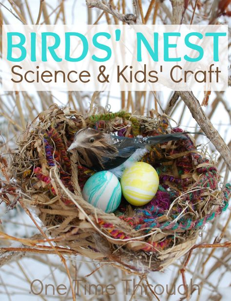 Instructions to make this beautiful birds' nest craft with your kids. Easy enough for a toddler! Perfect for displaying Easter Eggs, or for a science unit on birds. {One Time Through} #kidscrafts Make A Nest Craft, Bird Nest Craft For Kids, Nest Craft For Kids, Diy Bird Nest, Nest Craft, Craft Bird, Bird Nest Craft, Hummingbird Nests, Nest Art