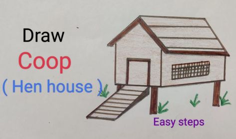 How to Draw a Chicken Coop Step by Step Draw A Chicken, Carnival Ideas, Drawing Instructions, Window Drawing, White Pencil, Step Drawing, A Chicken, Drawing Lessons, Step By Step Drawing