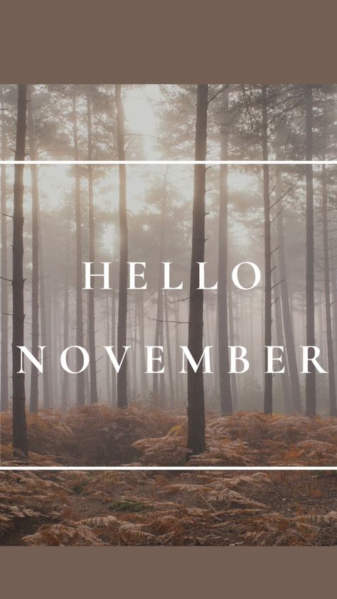 Hello November!😃 Visiting Croatia in November is perfect because of the weather, beauty of the cities and cold evenings. Find out more: . Visiting Croatia, Croatia National Park, Plitvice National Park, Krka National Park, Hello November, Visit Croatia, Adriatic Coast, Late Autumn, Hotel Price