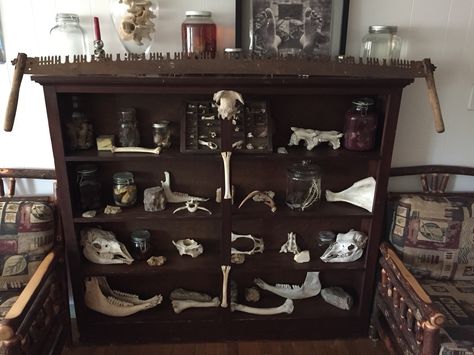 Bone Shelf, Oddities Cabinet, Oddities Bookshelf, Bone Display, Bones In Jars, Bone Collecting Aesthetic, Wet Specimen Display, Oddities Collection Cabinet Of Curiosities, Specimen Jars