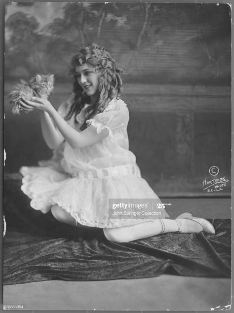 News Photo : Actress Mary Pickford Holding a Kitten Holding Kitten, Celebrities With Cats, Famous Cats, Mary Pickford, Great Cat, Cat People, Almost Famous, Silent Film, Classic Films