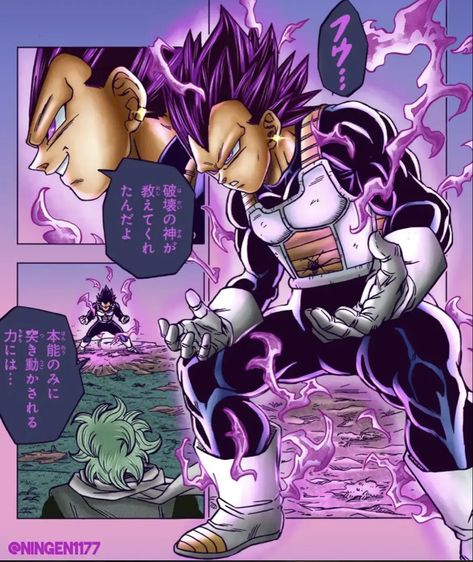 Vegeta New Form, Ultra Ego, God Of Destruction, Image Dbz, Artwork Anime, Epic Characters, Dragon Ball Super Artwork, Dbz Art, Dragon Ball Image