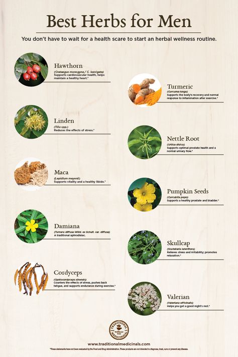 Best Herbs for Men | 10 herbs for male health and wellness.* Get to know them on our Plant Power Journal. #TraditionalMedicinals #menshealth #plantmedicine Herbs For Mens Health, Herbs For Cervical Health, Natural Male Enhancement Herbs, Herbs Medicinal Healing, Herbs For Bone Health, Best Herbs For Womens Health, Herbs For Prostate Health, Herbs For Male Fertility, Plants For Men