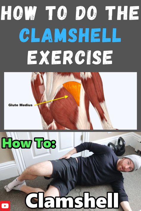 clamshell exercise demo and glute med muscle location Clamshell Exercise, Glute Medius, Olympic Weights, Knee Exercises, Weight Set, Chest Workouts, Workout Plans, Fit Board Workouts, Low Back Pain