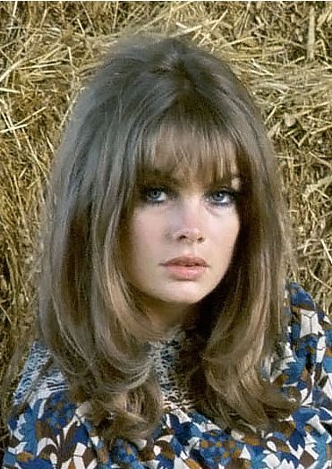 60s Hairdos For Women, Sixties Haircut, 70s Hairstyles Braids, 70s Soft Layers, 60s Hair With Bangs, 60s Hair Layers, 70s Straight Hairstyles, 60s Long Bob, 60s Mid Length Hair