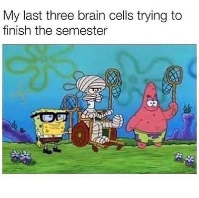 Your Daily Squidward on Instagram: “How much energy do you have left for this year on a scale of 1-10? 😂😂” Squidward Funny, Spongebob Face, Patrick Memes, Funny Patrick, Meme Spongebob, Funny Spongebob Memes, College Memes, Spongebob Patrick, Spongebob Memes