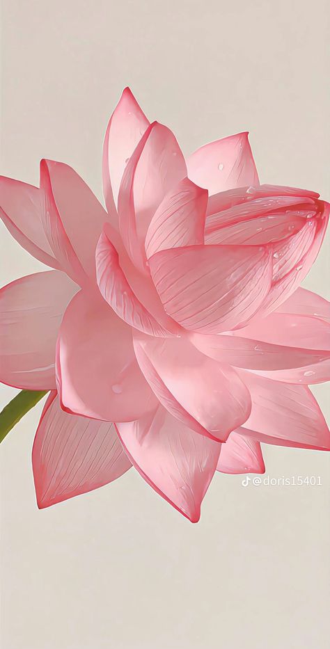 Lotus Aesthetic, Lotus Flower Wallpaper, Lotus Wallpaper, Lotus Flower Pictures, Lotus Flower Art, Desain Quilling, Wallpaper Nature Flowers, Pink Lotus, A Beautiful Flower