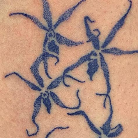 Nature Related Tattoos, Paint Tattoo Brush, Aloe Vera Plant Tattoo, Line Work Shoulder Tattoo, Spider Orchid Tattoo, Blue Back Tattoo, Tattoo Ideas Whimsical, Forestcore Tattoo, Line Art Tattoos Simple