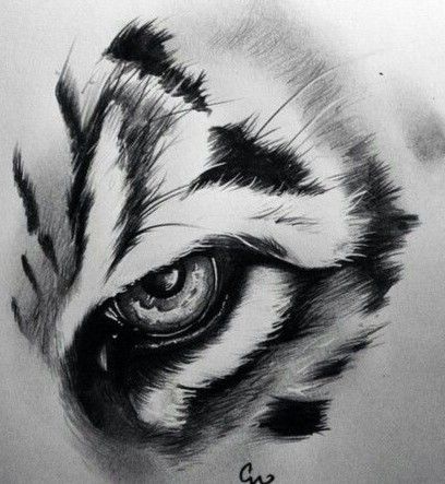 Griffon Tattoo, Tiger Eyes Tattoo, Tiger Sketch, Tattoo Tiger, Eyes Tattoo, Family Tattoo Designs, Tattoo Posters, Tiger Tattoo Design, Tiger Eyes