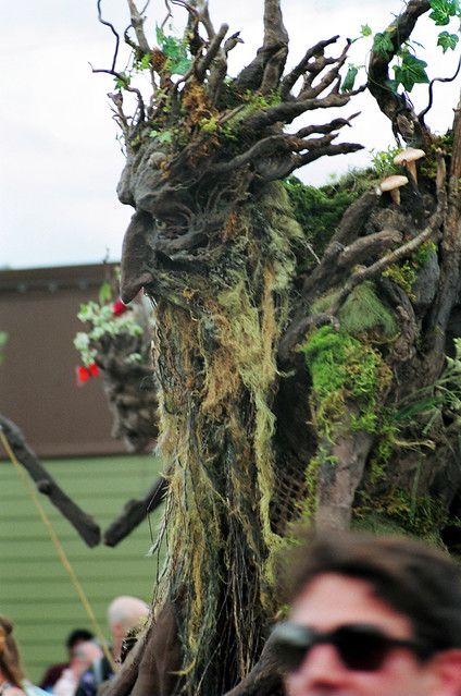 Tree Costume, Weird Trees, David Green, Tree People, Tree Faces, Wood Spirit, Tree Spirit, Nature Spirits, Tree Carving