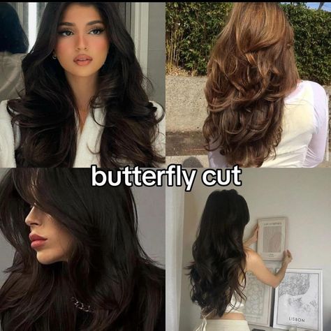 All Posts • Instagram Pretty Hair Cuts, Haircuts For Long Hair With Layers, Butterfly Cut, Hair Inspiration Long, Hairstyles For Layered Hair, Haircuts For Wavy Hair, Hair Stylies, Haircuts For Medium Hair, Hair Up Styles