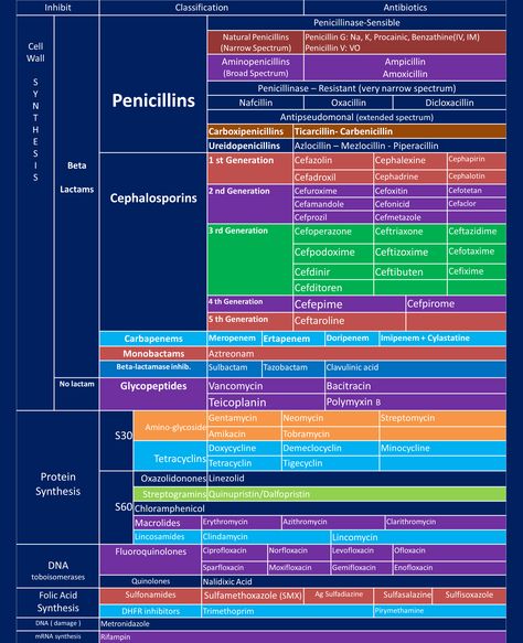 Antibióticos                                                       … Classification Of Antibiotics, Pharmacy Cheat Sheet, Pharmacology Classification Chart, Antibiotic Classification, Antibiotics Classification, Antibiotics Cheat Sheet, Antibiotic Classes, Pharmacology Antibiotics, Antibiotics Chart