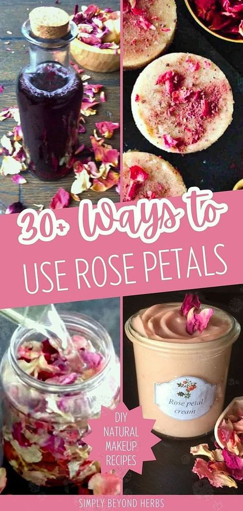 Embrace the versatility of rose petals with more than 30 DIY uses for enhancing your skin and hair's health and beauty. From soothing skin to revitalizing hair, discover the centuries-old secrets of roses as healing flowers. Ideal for those crafting homemade skin care or seeking natural remedies. Find extensive rose recipes, rose petal recipes, and DIY natural makeup at simplybeyondherbs.com. Rose Petal Uses Diy, Dehydrated Rose Petals, What To Do With Old Rose Petals, What To Make With Rose Petals, Crafts With Rose Petals, Things To Do With Roses, Diy Beauty Products Recipes, Things To Do With Rose Petals, Dried Rose Petals Ideas