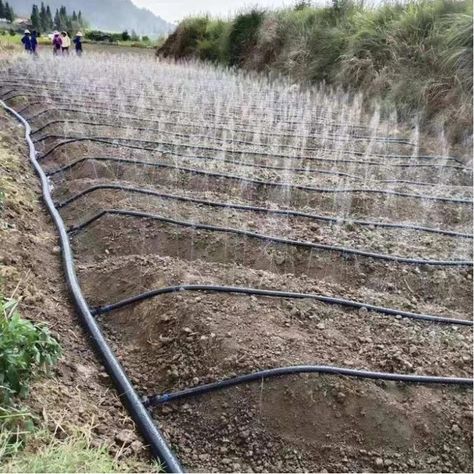 agriculture irrigation system farm irrigation sprinkler hose micro spray tape garden rain hose https://m.alibaba.com/product/1600303433211/agriculture-irrigation-system-farm-irrigation-sprinkler.html?__sceneInfo={"cacheTime":"1800000","type":"appDetailShare"} Sprinkler Hose, Greenhouse Farming, Water Irrigation, Sprinkler Irrigation, Small Vegetable Gardens, Garden Farm, Water Sprinkler, Vegetable Garden Diy, Drip Irrigation System