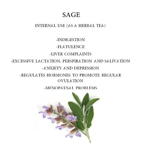 Salvia, the latin name for sage, means “to heal”. The use of sage as a fertility drug dates back to ancient Egypt. The herb can be consumed orally by eating the dried leaves. Do not use during pregnancy. . . 

Do follow and stay tuned for more such wonderful herbal tea benefit pins to create your own tea corner at home.

#sage #benefits #health #herbalmedicine #ancient #essentialoil #sageoil #stressrelieving #goodsleep Salvia Benefits, Sage Tea Benefits, Selfcare Recipes, Pregnancy Herbs, Tea Corner, Sage Benefits, Herbal Tea Benefits, Tea Remedies, Sage Tea