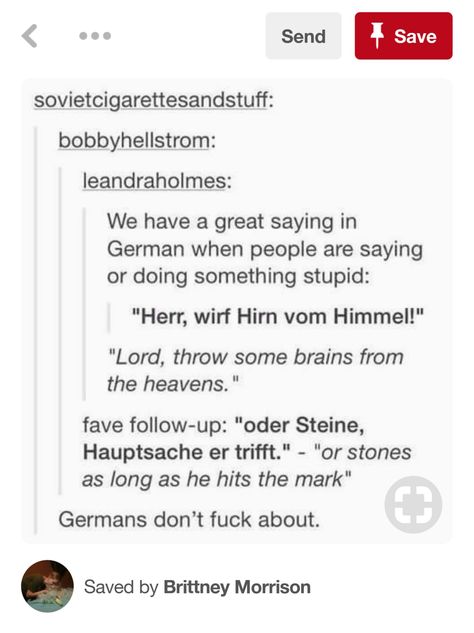 Gotta love the Germans. Where else would you get the saying "Lord, throw some brains down from the heavens... Or rocks, as long as the aim's good!" Curse Words In German, German Curse Words, German Proverbs, German Memes Hilarious, Grammar Memes Humor, Religious Memes Humor, Cuss Words, German Language Learning, Funny Pagan Memes