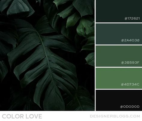 Dark Green Colors Palette, Dark Green Wall Color Palette, Green And Black Pallet, Forest Green And Black Color Palette, Emerald Green And Black Color Palette, Dark Emerald Green Color Palette, Green Masculine Aesthetic, Dark Green Color Pallette, Green Black Palette