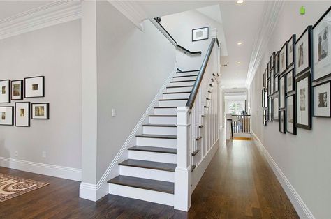 Balboa Mist Benjamin Moore Paint Traditional Staircase, Family Photo Wall, Revere Pewter, Perfect Paint Color, Dark Wood Floors, Ideas Pictures, Balboa, Benjamin Moore, Wall Color