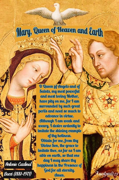 Thought for the Day – 22 May – Mary, Queen of Heaven and Earth – AnaStpaul Queen Of Heaven And Earth, Mary Queen Of Heaven, Powerful Queen, St John Bosco, The Transfiguration, Loving Mother, Thought For The Day, Last Rites, Light Of Christ