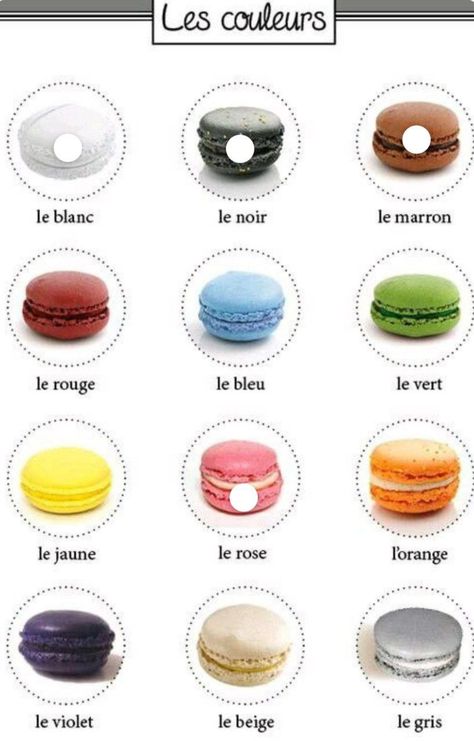 French 101, Gcse French, French Flashcards, Basic French Words, Study French, French Worksheets, French Teaching Resources, French Activities, French Language Lessons