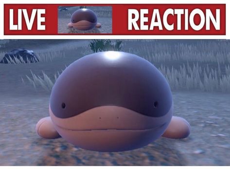 clodsire looks at screen Live Reaction, Gotta Catch Them All, Pokemon Memes, Pokemon Funny, Silly Images, Pokemon Games, My Pokemon, Silly Pictures, Pokemon Pictures