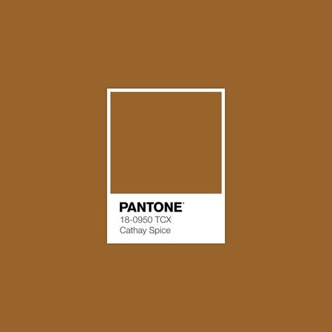 Pantone Orange, Pantone Swatches, Pantone Palette, Color Pantone, Pantone Colour Palettes, Fall Color Palette, Color Inspo, Color Of The Year, Colour Schemes