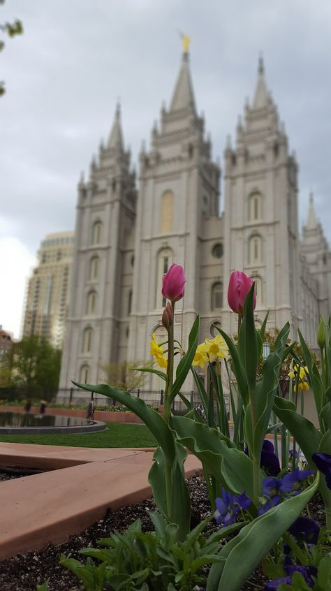 Lds Images, Lds Temple Pictures, Mormon Temples, Temple Photography, Temple Pictures, Church Pictures, Temple Art, Lds Temple, Mormon Temple