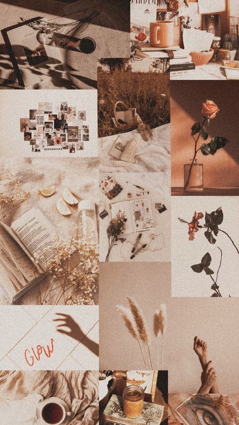 Paige
Aesthetic
Wallpaper Paige Astethic, Nicole Core Aesthetic Wallpaper, Therese Core Aesthetic, Cathy Core Aesthetic, Grace Core Aesthetic Wallpaper, Chelsie + Core + Aesthetic, Sara Core Aesthetic Wallpaper, Nichole Core Aesthetic, Kaley Core Aesthetic