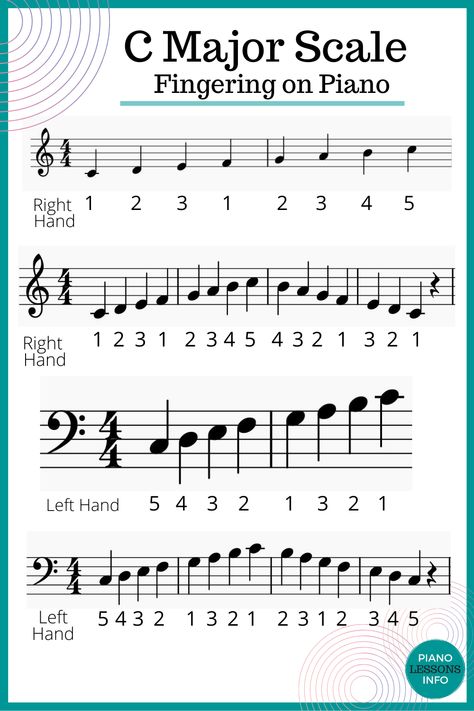 C Major Scale Piano, Piano Scales For Beginners, Scales Piano, C Major Scale, Piano Worksheets, Piano Songs For Beginners, Music Theory Piano, Beginner Piano Music, Piano Pedagogy