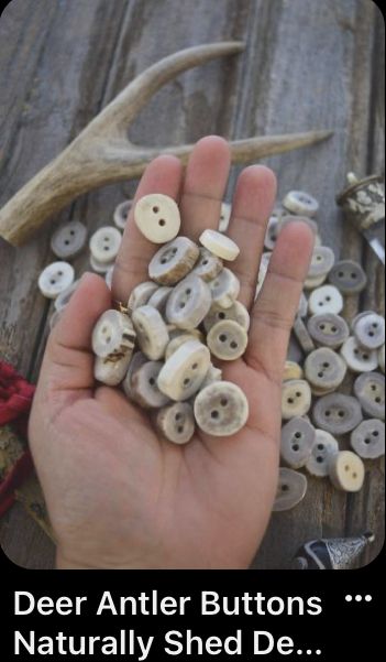 Miejski Survival, Hunting Mounts, Tanning Hides, Antler Projects, Deer Antler Crafts, Antler Ideas, Antler Buttons, Antler Crafts, Antler Jewelry