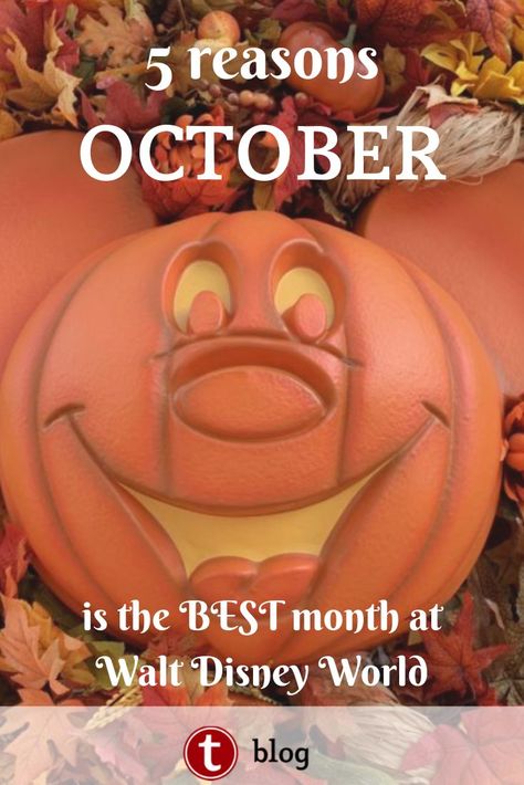 Disney World In October, Disney World Guide, Disney World Halloween, Walt Disney World Orlando, Disney Dinner, Disney World Tickets, Family Disney Trip, Disney Trip Planning, Disney World Florida