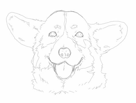 Corgi Sketch, Corgi Doodle, Corgi Clipart, Woodburning Ideas, Black Headed, Dog Sketch, Cardigan Welsh Corgi, Blue Merle, Pembroke Welsh Corgi