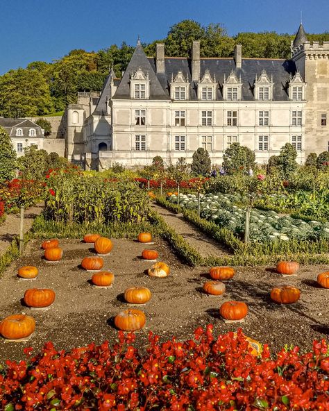 Here's another great place to spend fall... 🍁🍂⁠ ⁠ France!! ⁠ ⁠ There are so many amazing places to visit in France during autumn! Here are just a few:⁠ ⁠ 🇫🇷 Paris⁠ 🇫🇷 Loire Valley⁠ 🇫🇷 Giverny ⁠ 🇫🇷 Normandy⁠ 🇫🇷 Burgundy⁠ ⁠ What's your favorite place?⁠ Autumn In France, Burgundy France, Fall Break, Loire Valley, French Girl, Great Places, Cool Places To Visit, The Good Place, France