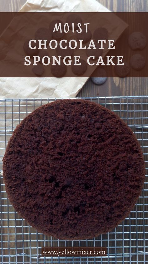 moist chocolate sponge cake Soft Chocolate Sponge Cake Recipe, Dark Chocolate Sponge Cake, Sponge Cake Recipe Chocolate, Chocolate Sponge Cake Recipe Moist, Chocolate Genoise Sponge Cake, Base Cake Recipe, Chocolate Baking Recipes, Chocolate Espresso Cake Recipe, Baking With Chocolate