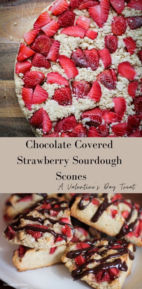 Strawberry Sourdough, Sourdough Scones, Sourdough Starter Discard, Strawberry Scones, Discard Recipe, Chocolate Scones, Sourdough Starter Discard Recipe, Chocolate Covered Strawberry, Sour Dough