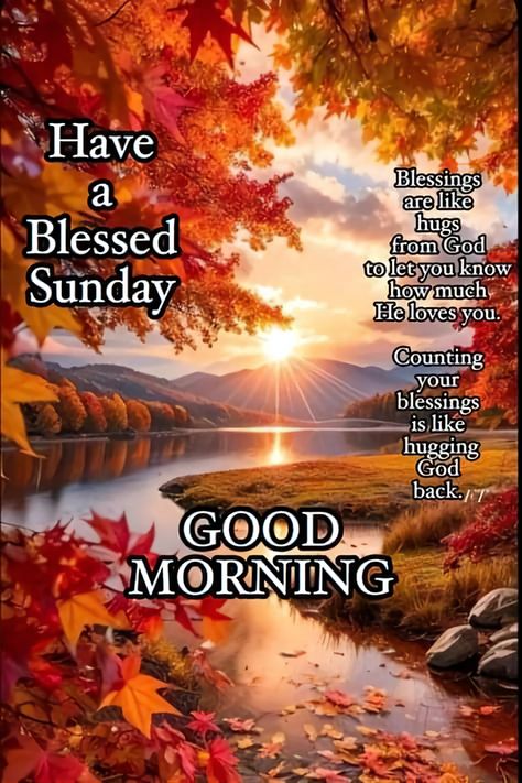 Good Morning Blessings Inspiration Beautiful, Sunday Morning Pics, Sunday Morning Quotes, Good Sunday Morning, Sunday Greetings, Good Morning Spiritual Quotes, Blessed Sunday, Bless The Lord, Morning Inspiration