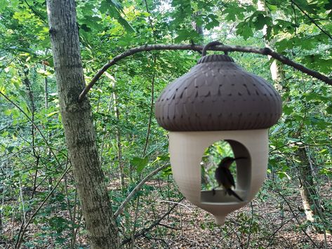 Acorn bird house by ModellKontor 3d Printed Bird House, Animal House, Garden Accessories, The Birds, Bird Houses, Bird House, I Tried, 3d Printing, First Time