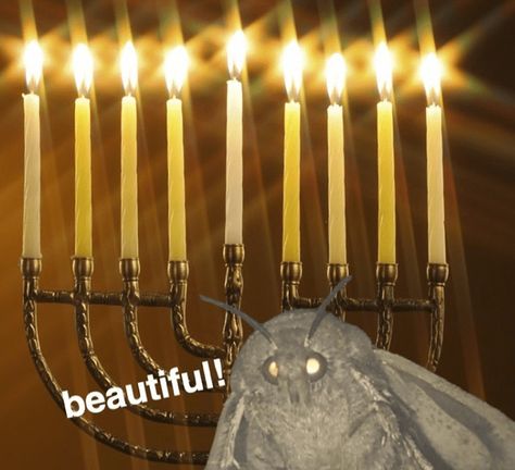 20+ Funny Hanukkah Memes For the First Night of the Festival of Lights - Memebase - Funny Memes Funny Hanukkah, Yom Kippur, Festival Of Lights, Funniest Memes, Birth Of Jesus, Happy Hanukkah, The Eighth Day, Festival Lights, The Festival