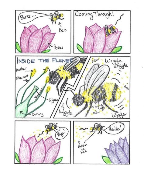 Pollinators: What’s All the Buzz About? – Your Connection to Wildlife Pollination Project, Pyp Exhibition, Pollination Activity, Plant Adaptations, Interactive Poster, English Lab, Biology Projects, Animal Lessons, Nature Studies