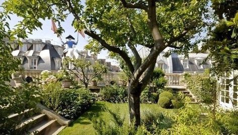 Paris Garden, Rooftop Gardens, Growing Trees, Paris Rooftops, Pinterest Garden, Retractable Pergola, Jardin Des Tuileries, Paris Summer, Rooftop Patio