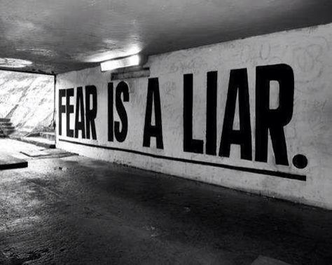 Later in life You will regret things you didn't do far more than things you did. Don't let fear hold you back from your dreams Fear Is A Liar, White Photo, Powerful Quotes, A Sign, The Words, Be Yourself Quotes, Great Quotes, Cool Words, Inspirational Words