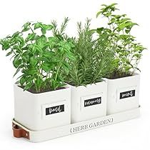 Indoor Herb Garden Containers, Herbs In Kitchen, Inside Herb Garden Ideas, Inside Herb Garden, Window Pots, Kitchen Window Herb Garden, Indoor Herb Garden Ideas, Farmhouse Planter, Windowsill Herb Garden