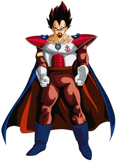 King Vegeta, Goku Super Saiyan God, Goku Super Saiyan Blue, Ball Character, Dbz Characters, Dbz Art, Sonic Fan Characters, Dragon Balls, Dragon Ball Wallpapers