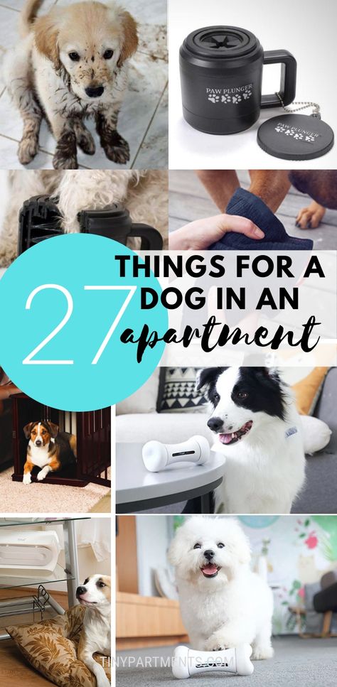 Having a dog in an apartment or small space is not easy. But with the right arsenal of pet accessories and dog gadgets it can be easy and enjoyable. Check out this list that is filled with dog caring ideas, gadgets, and necessary things your pooch will appreciate. Yes, everybody needs a leash and a bunch of chew toys, but this list of stuff for keeping a dog in an apartment goes beyond that. #dogideas #smallspace #dogapartment Apartment Dogs, Dog Gadgets, Dog Spaces, Dog Hacks, Walk In The Park, Vintage Mickey, Small Apartment, Diy Dog Stuff, Dog Care