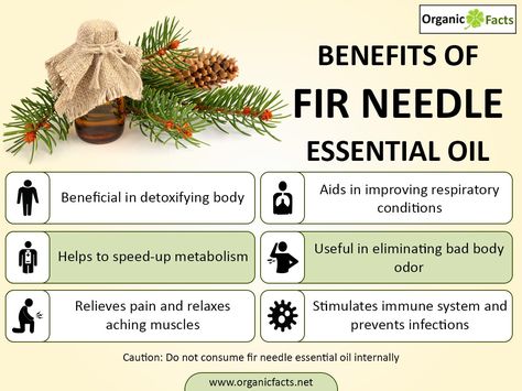 Some of the health benefits of fir needle essential oil include its ability to reduce pain, prevent infections, improve respiratory function, increase the metabolism, detoxify the body, and reduce body odor. Like so many popular essential oils, fir needle essential is extracted through a process of steam distillation from fir needles, primarily from the species Abies balsamea. The needles are the most important part of this plant, as that is where the active ingredients and powerful chemical ... List Of Herbs, Do Terra Essential Oils, Fir Needle Essential Oil, Bad Body Odor, Antibacterial Essential Oils, Terra Essential Oils, Oils Benefits, Essential Oils Guide, How To Make Oil