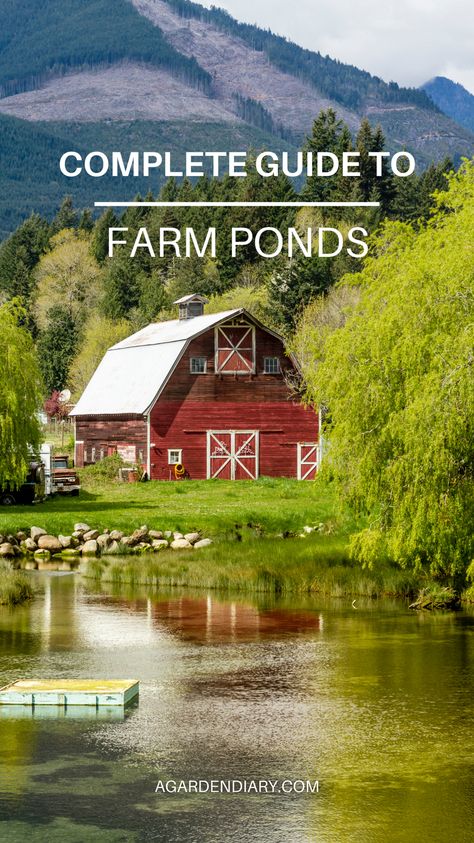 Discover the ultimate resource for creating and maintaining farm ponds! This comprehensive guide covers everything from site selection and design to construction and ecosystem management. Learn how to enhance your farm's natural beauty while providing essential water resources for irrigation and livestock. Dive into our expert tips and step-by-step instructions to ensure your farm pond thrives. Don't miss out on transforming your land with this essential guide to farm ponds! Beautiful Farm Land, Farm Pond Ideas, Door Architrave, Farm Ponds, Buy Dirt, Pond Construction, Soil Conservation, Farm Pond, Rainwater Harvesting System