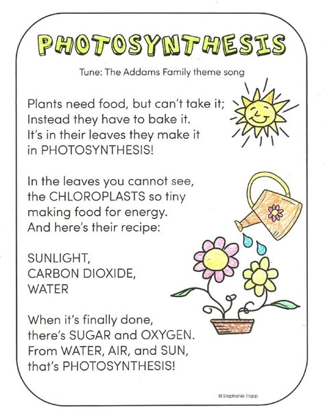 FREE photosynthesis song printable and other activities for teaching photosynthesis to young learners. Photosynthesis For Kindergarten, Photosynthesis Kindergarten, Photosynthesis Coloring Page, What Is Photosynthesis, Process Of Photosynthesis, Photosynthesis In Higher Plants, Photosynthesis Activities, Photosynthesis Worksheet, Grade 3 Science